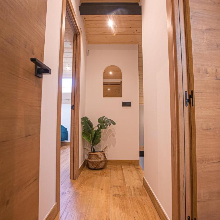 APARTAMENTO BLOSSOM - Apartamento de 3 dormitorios - 45