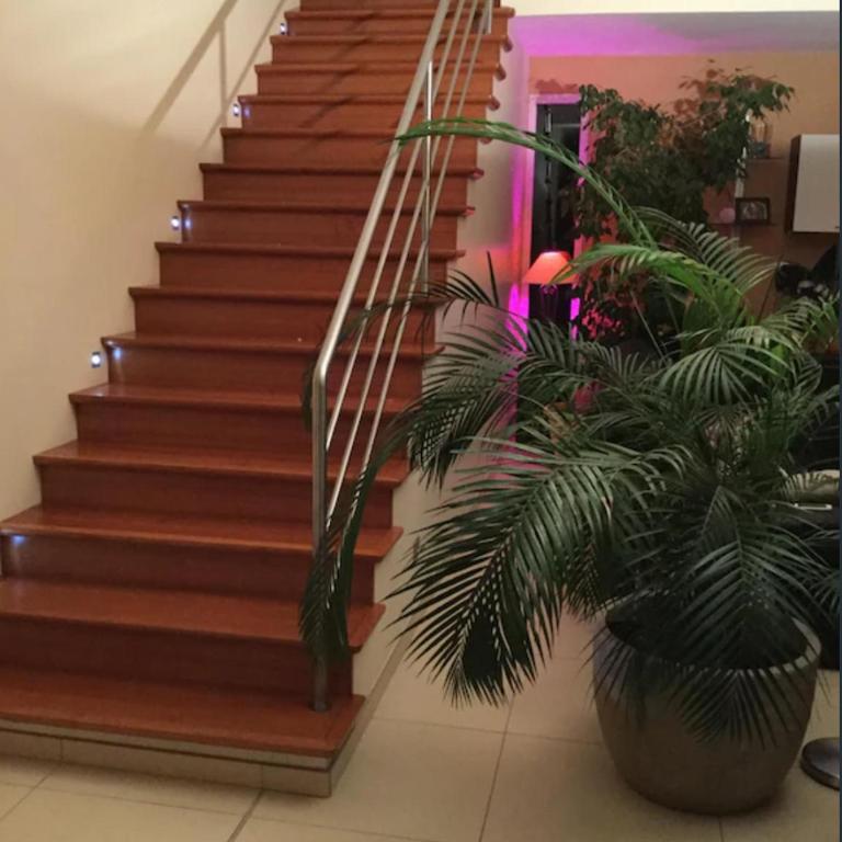 Luxueuse Villa Climatisée à Cannes - Villa - 31