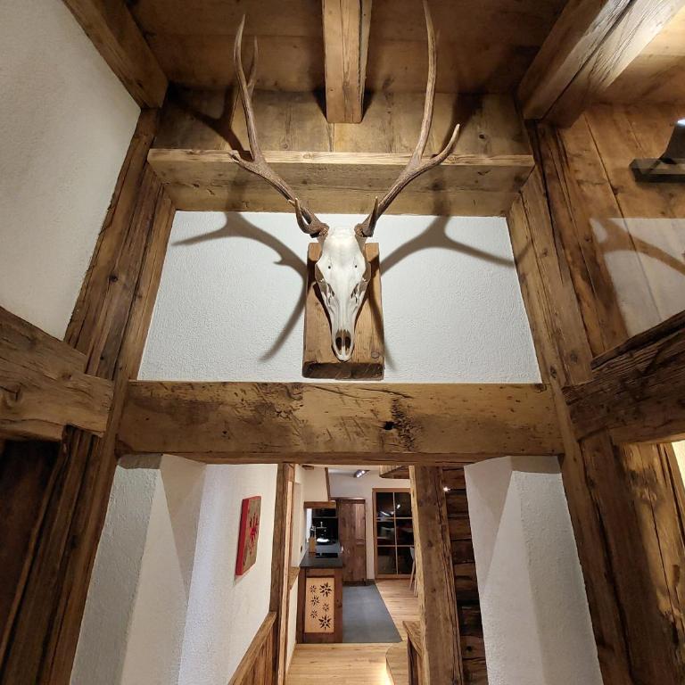 Wieserhof Tirol - Appartamento con Vista Montagna - 13