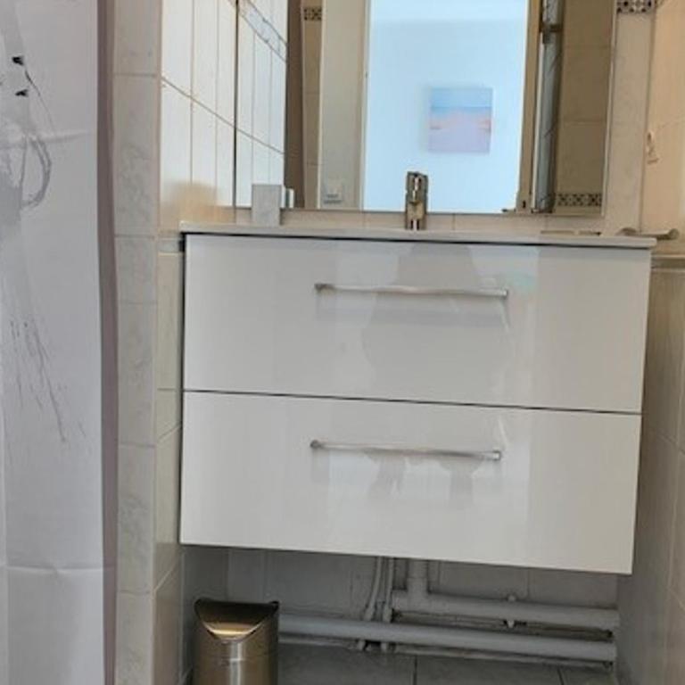 Appart 2* avec clim et animaux admis à Balaruc-les-Bains - FR-1-503-127 - Appartement - 9