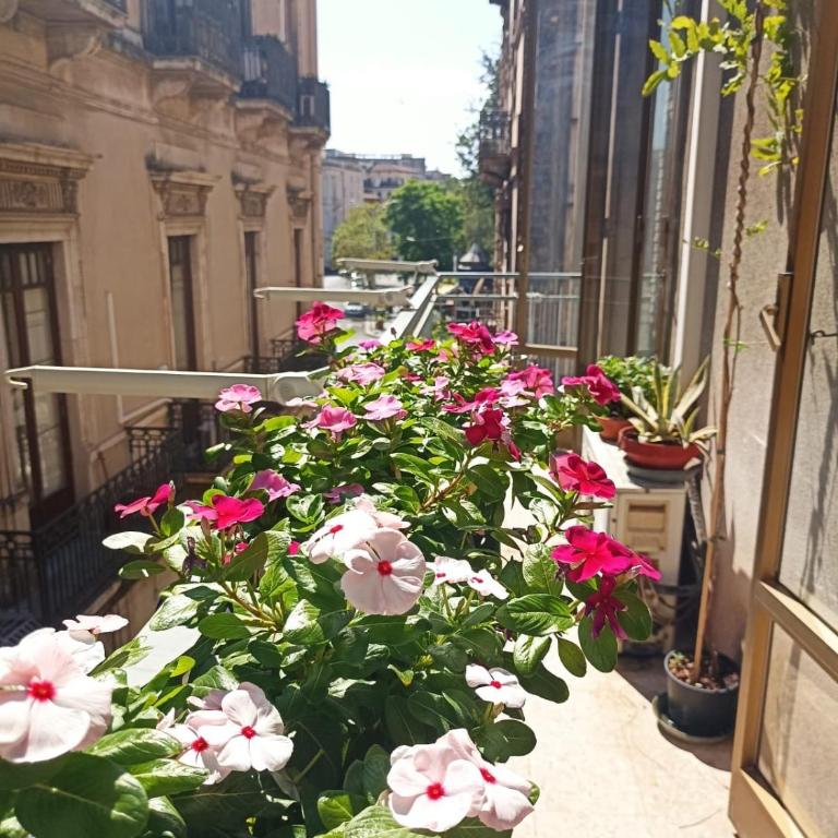 Casita Gentile - Appartamento con 1 Camera da Letto - 20