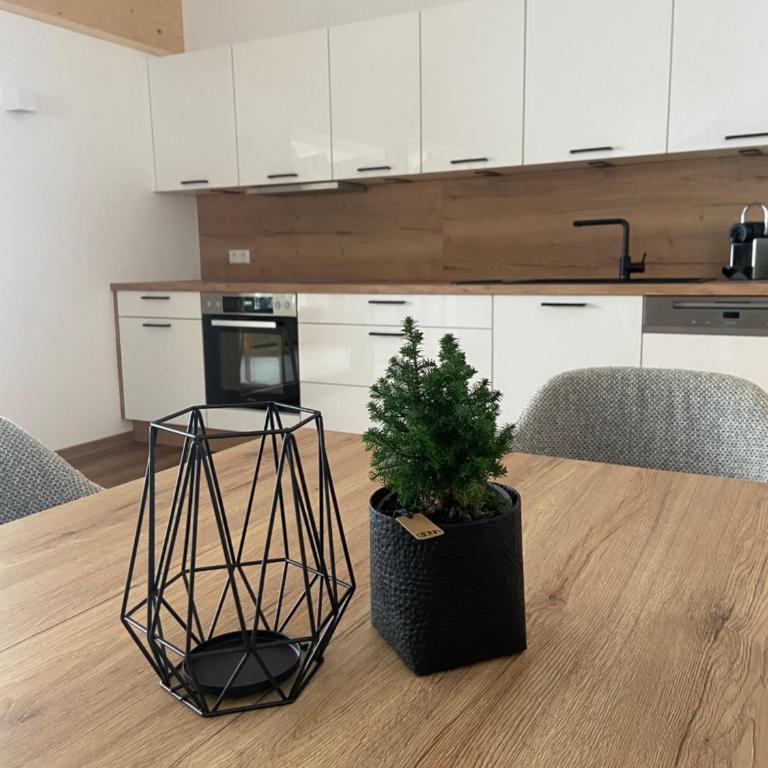 Ski & Bike Appartements - Apartment mit 2 Schlafzimmern - 1