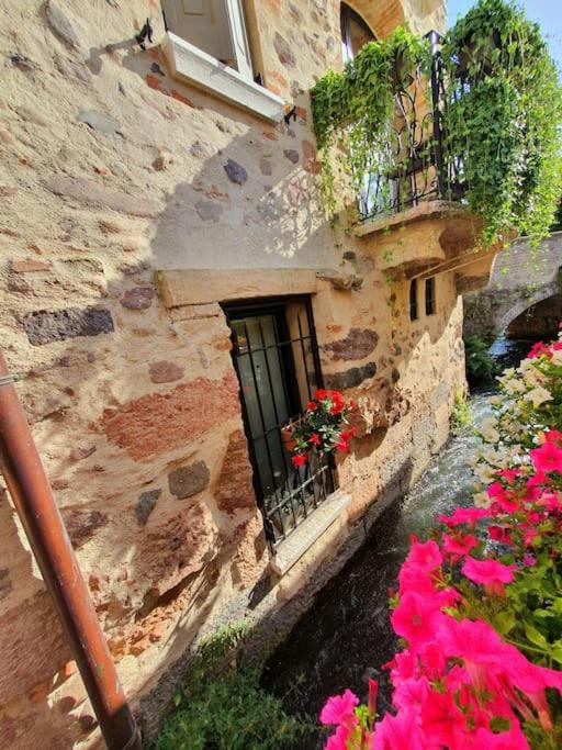 Una Rosa sul Mincio - Appartamento con 1 Camera da Letto - 24
