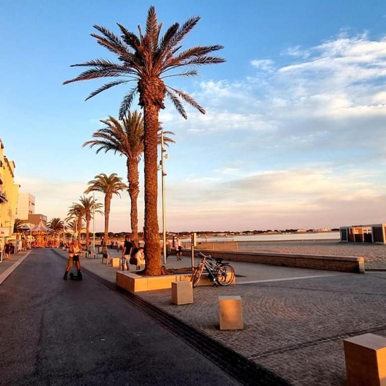 100 m de la plage - Les Cigales de Mer - Studio Cabine - Parking - Studio - 32