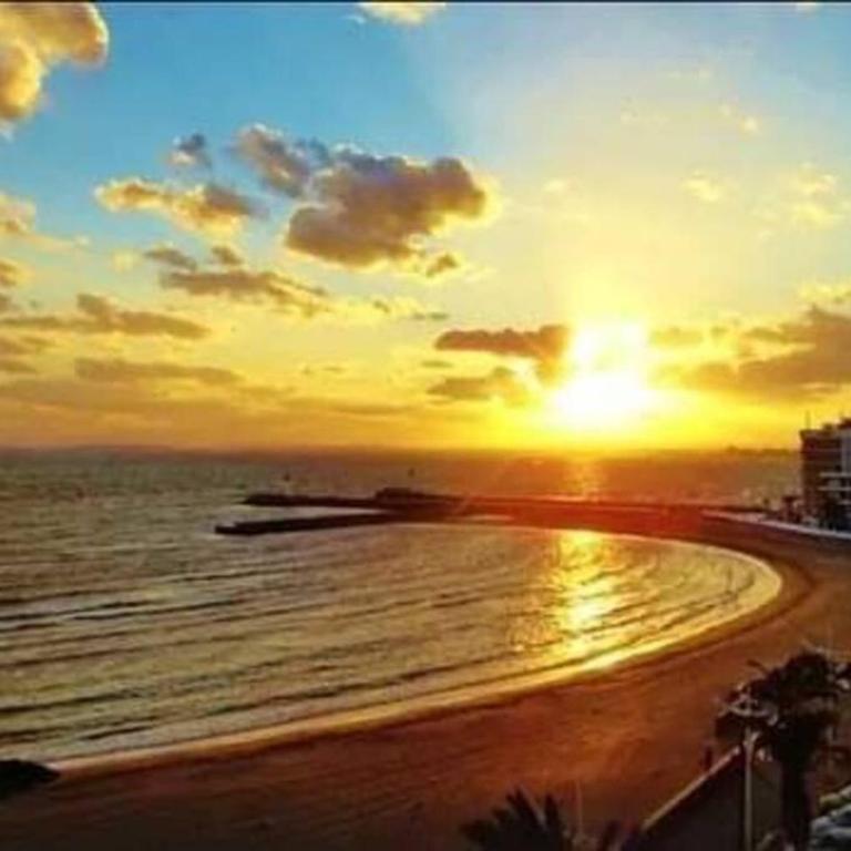 100 m de la plage - Les Cigales de Mer - Studio Cabine - Parking - Studio - 35