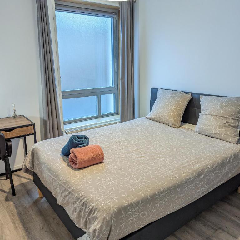 Beau-Jean, Un Cocon Sympa 5 min à Pied du Centre-Ville, Parking Privé, à 10 min du CHU - Appartement 3 Chambres - 32