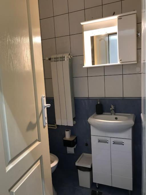 Saint Sava studio - Apartman sa 1 Spavaćom Sobom - 6