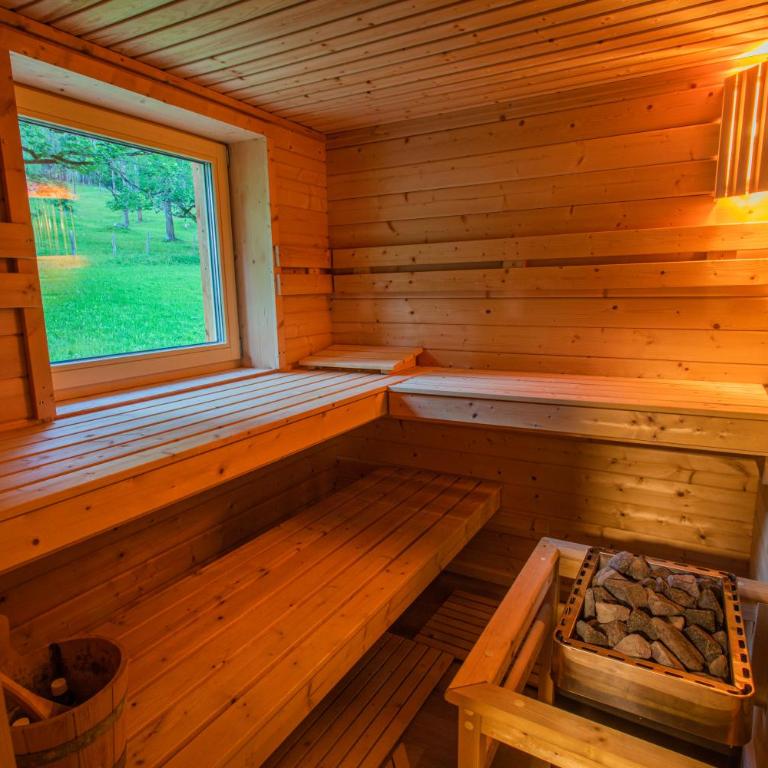 Holzerjuwel - Minzlhof Ramsau am Dachstein - Maison 2 Chambres - 4