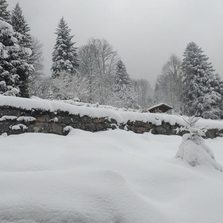 L'instant chalet Lodge 17 - Chalet Supérieur - 36