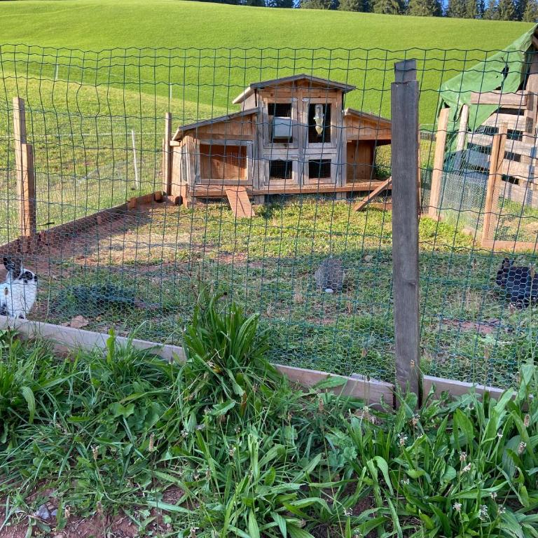 Agriturism Gscnara - Appartamento con 3 Camere da Letto - 13