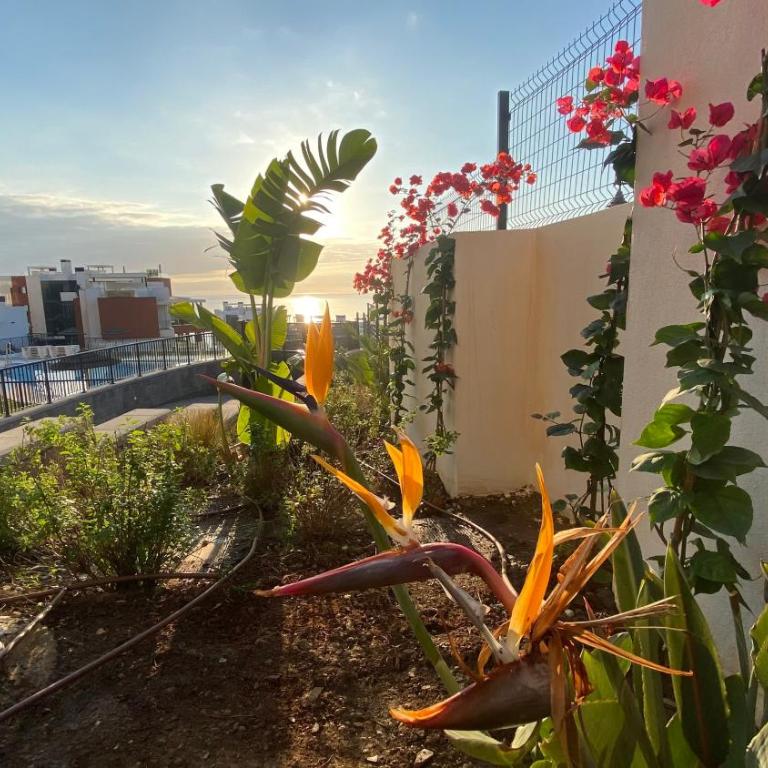 Blue Lady by the Sea - Apartamento de 2 dormitorios - 44