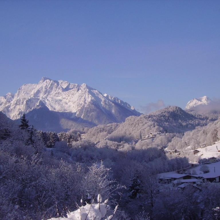 Ferienwohnungen Vogelrast - Apartment mit Blick auf die Berge - 14