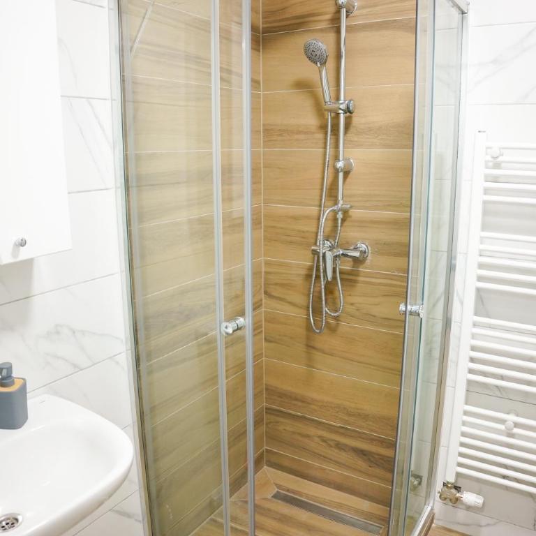 Apartman Ravna Planina - One-Bedroom Apartment - 17