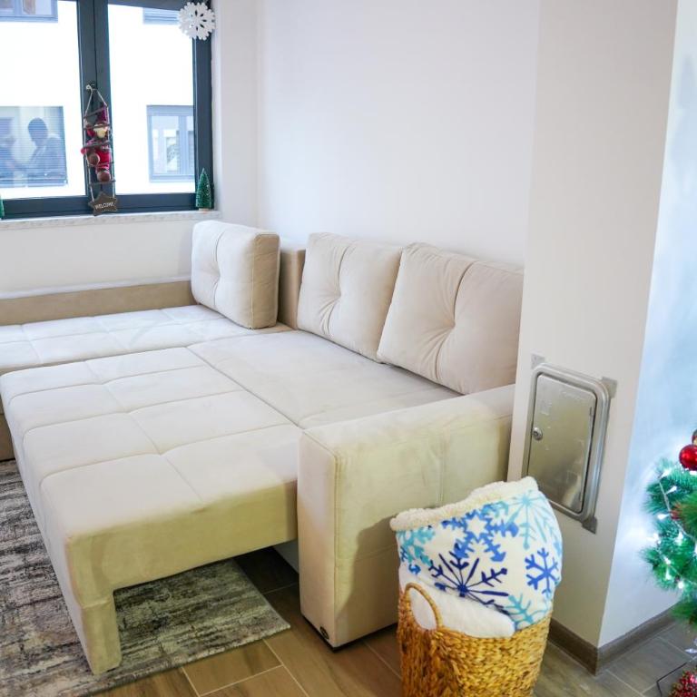 Apartman Ravna Planina - One-Bedroom Apartment - 14