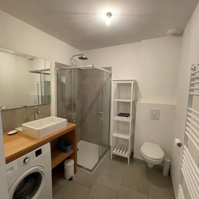 Les Cyclistes : appartement Vintoux - Appartement 2 Chambres - 9