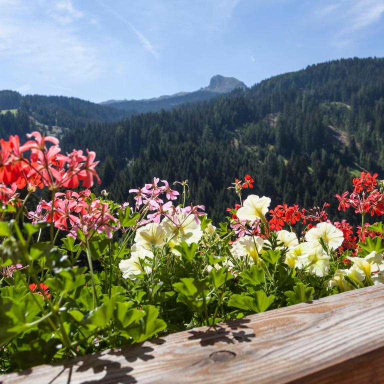 Alpenspitz Appartements - Garni - B&B - Apartment with Balcony - 5