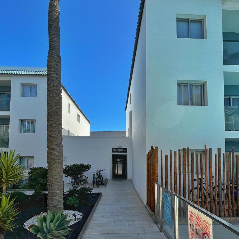 Bristol Palmeras - Apartamento de 1 dormitorio - 18