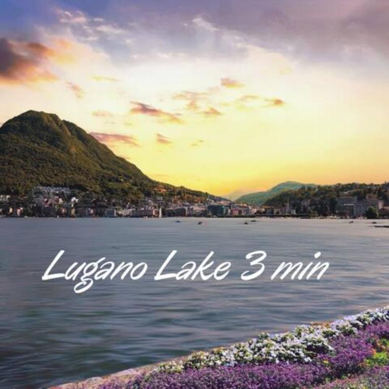 DUPLEX LOFT IN LUGANO CENTER with Garden, Wi-Fi -By EasyLife Swiss - Appartamento con 1 Camera da Letto - 30