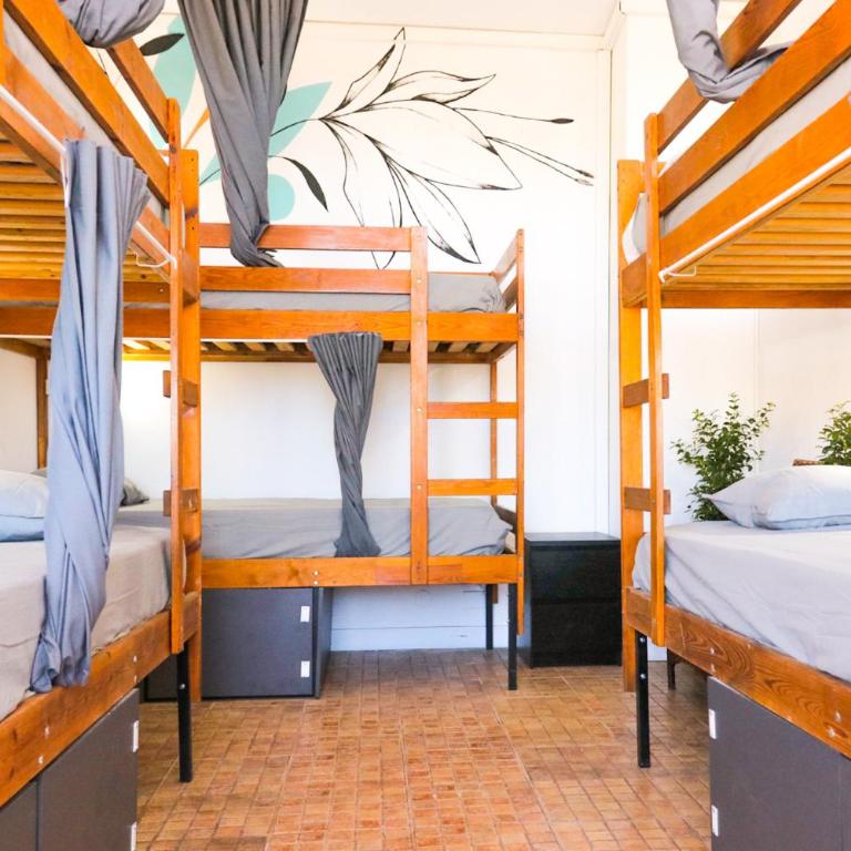 Ocean Nomads Coworking Tenerife - Litera en habitación compartida - Solo mujeres - 1