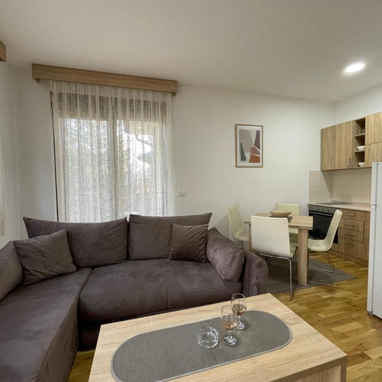 Alexandro Apartmani Zlatibor - Apartman sa Balkonom - 7