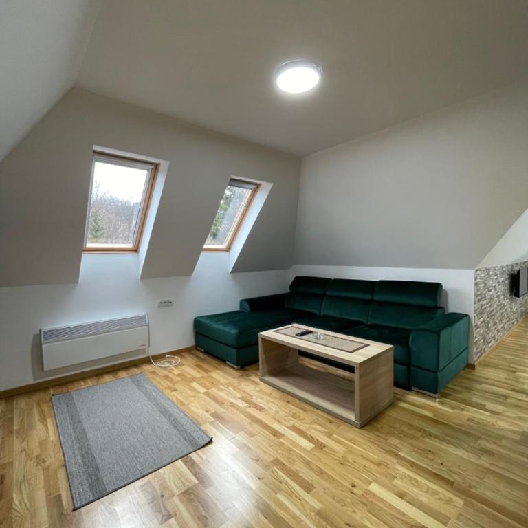 Alexandro Apartmani Zlatibor - King Studio with Sofa Bed - 1
