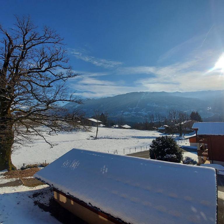 Appartement T2 lumineux avec terrasse et Wifi - FR-1-624-88 - Apartment (4 Adults) - 2