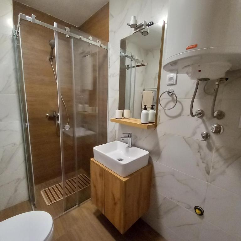 Apartman Danica - Apartman sa 1 Spavaćom Sobom - 13