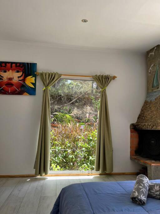 Casa amazonas - One-Bedroom House - 11