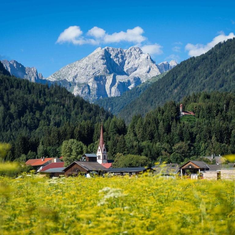 Luxury Chalet Mauthner Alm - Haus mit 4 Schlafzimmern - 26