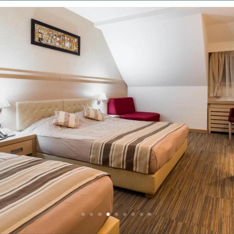 Angella Kopaonik - Apartman sa 1 Spavaćom Sobom - 4