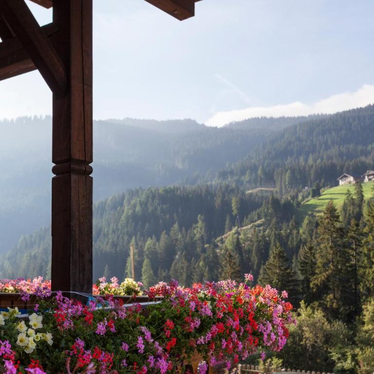 Alpenspitz Appartements - Garni - B&B - Apartment with Balcony - 4