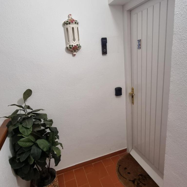 Calle Margarita - Miraflores 9-3 Mijas Costa - Apartamento de 3 dormitorios - 37