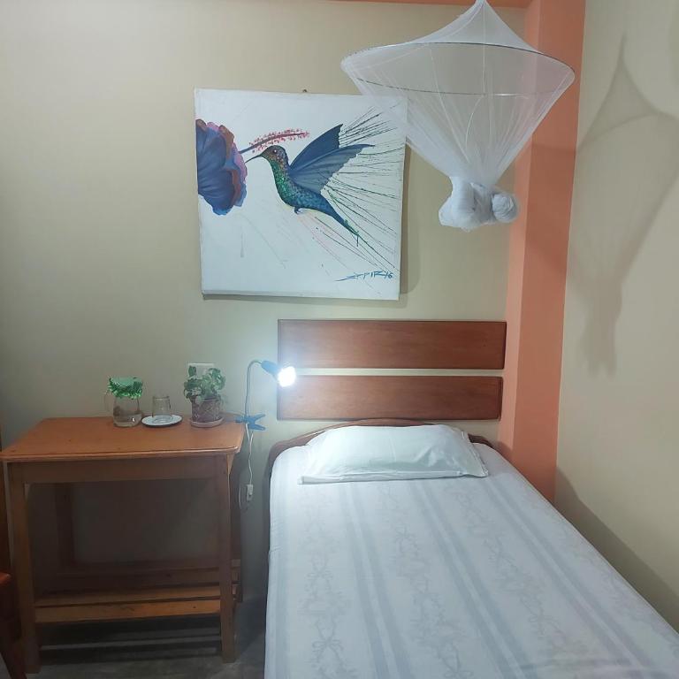 Amazon House Hostel - Habitación Individual con ventilador - 4