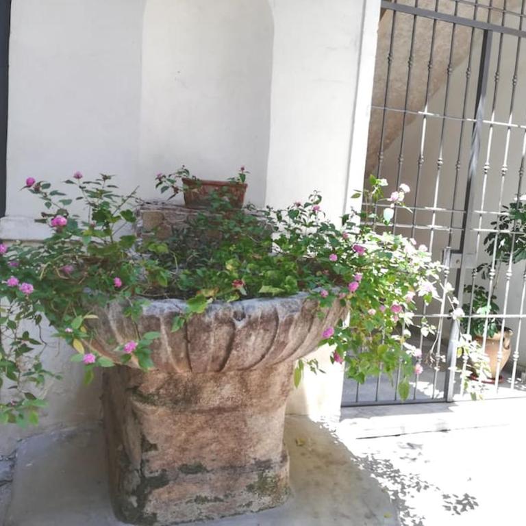 Residenza Lincoln - Appartamento - 6