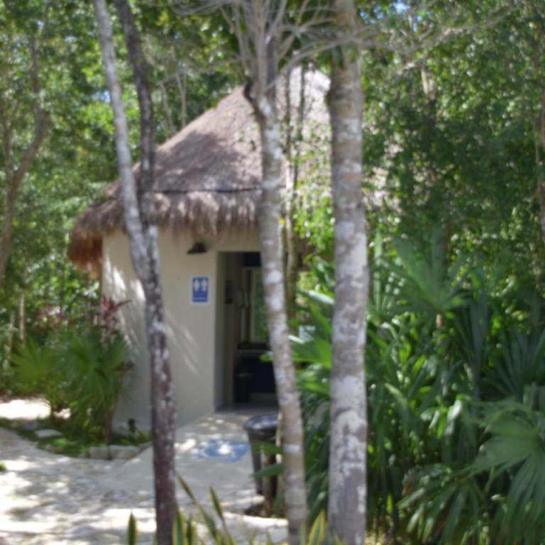 Hola, Paradise, Pool, Gym, and Tropical Escape - Casa de 4 dormitorios - 56
