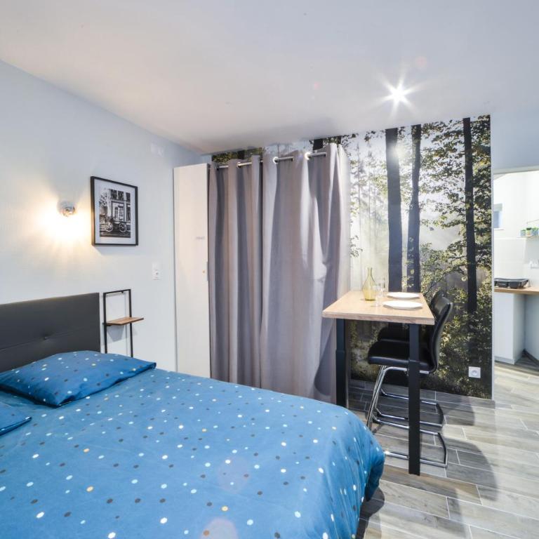 Appart OPALE rdc - parking gratuit- Netflix - Appartement 1 Chambre - 7