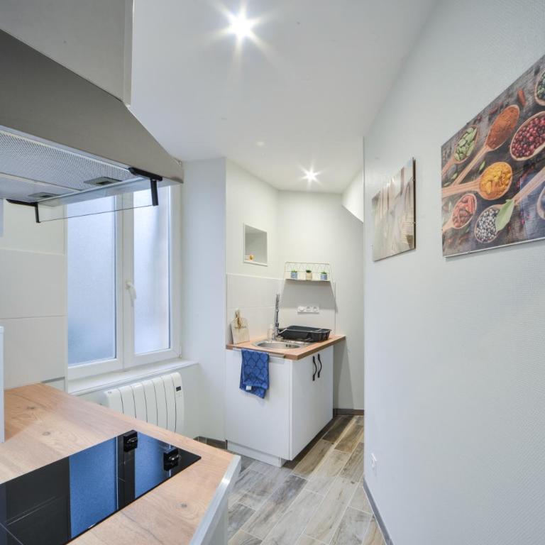 Appart OPALE rdc - parking gratuit- Netflix - Appartement 1 Chambre - 13