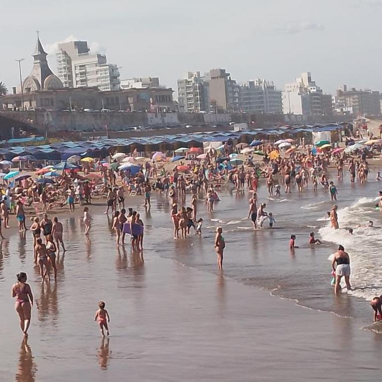 Zuly - Apartamento de 1 dormitorio - 3