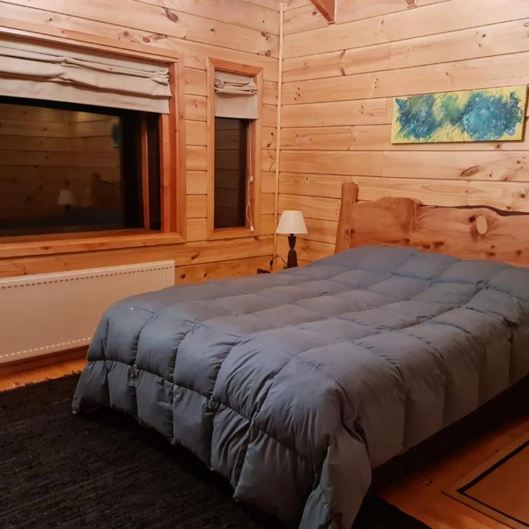 HuiloHuilo San Avellano en Reserva Biologica - Casa de 8 dormitorios - 23