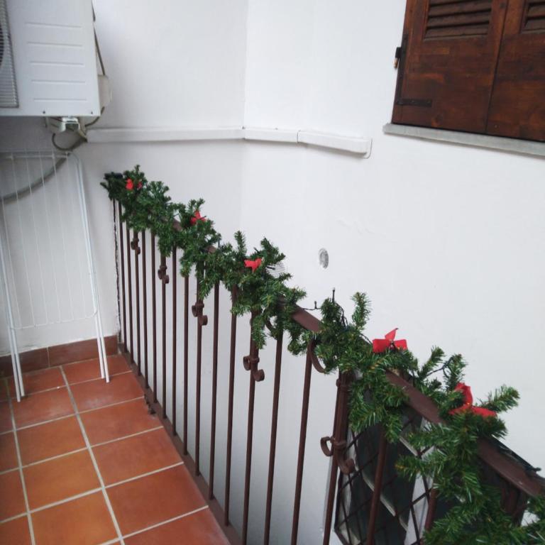 La casa di Mi Mà - Appartamento con Terrazza - 34