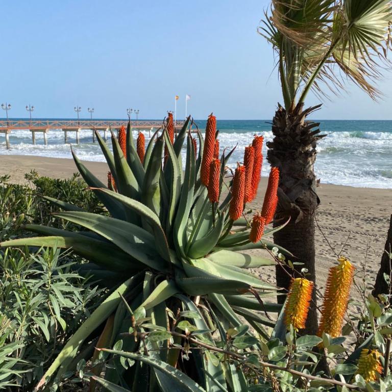 Blue Lady by the Sea - Apartamento de 2 dormitorios - 51