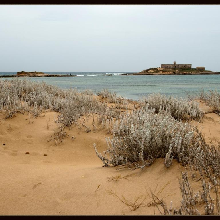 Red house near the sandy beach, parking & wi-fi - Casa con 3 Camere da Letto - 51