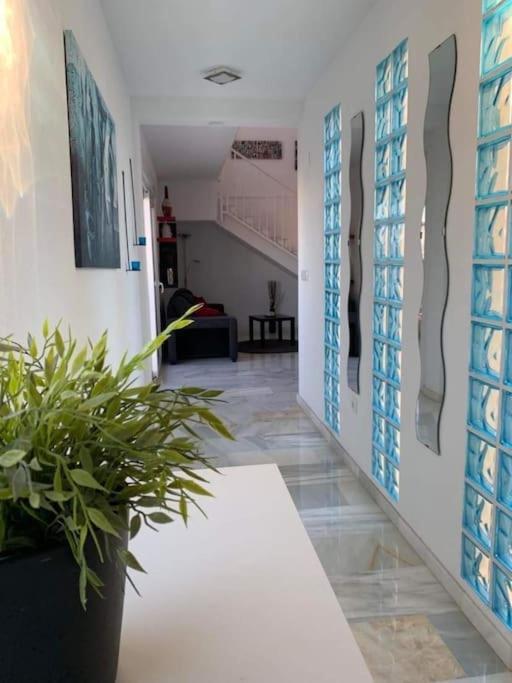 4+2 beds apartment in VillaMartin, Torrevieja - Apartamento de 2 dormitorios - 16