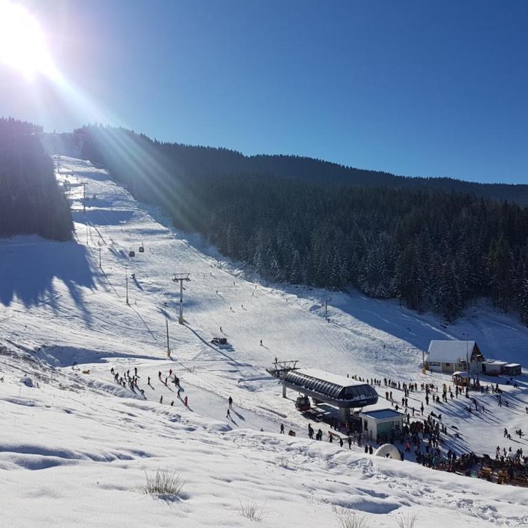 Apartman Ravna Planina - One-Bedroom Apartment - 29