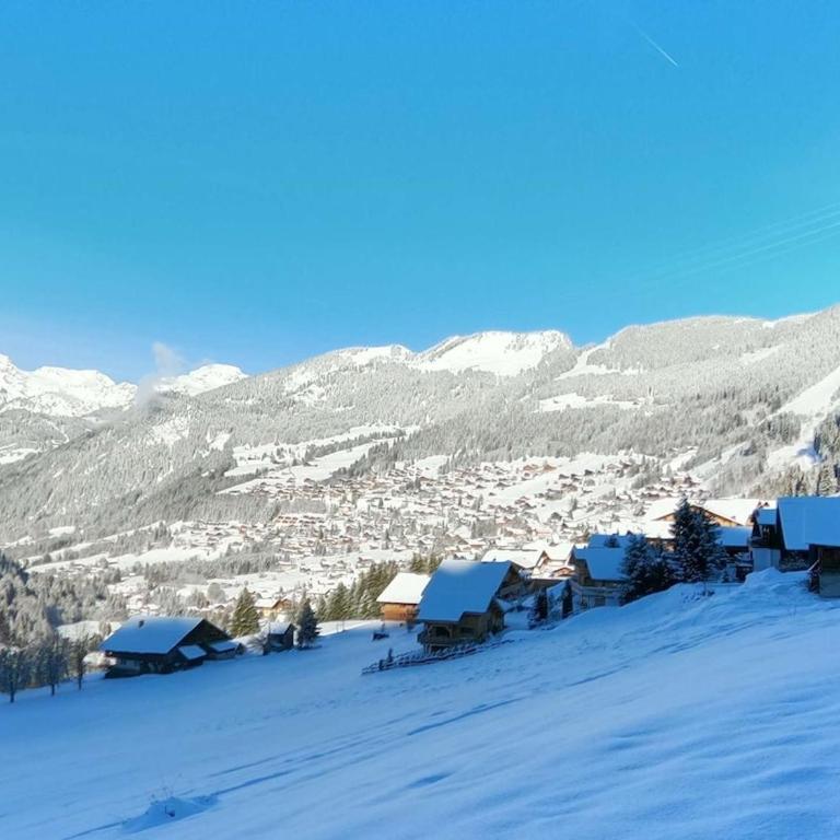 Chalet de Vonnes - Apt 10 - BO Immobilier- Châtel - Reduced prices on ski passes Châtel & Portes du Soleil - Appartement - 6