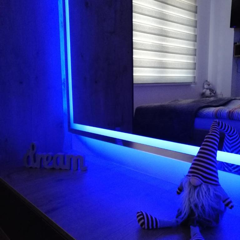 Doctor's house - One-Bedroom Apartment - 11