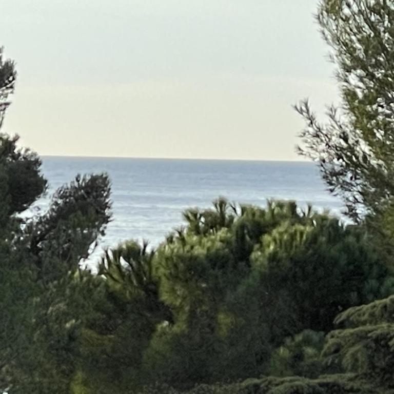 Fini - Studio mit Meerblick - 10