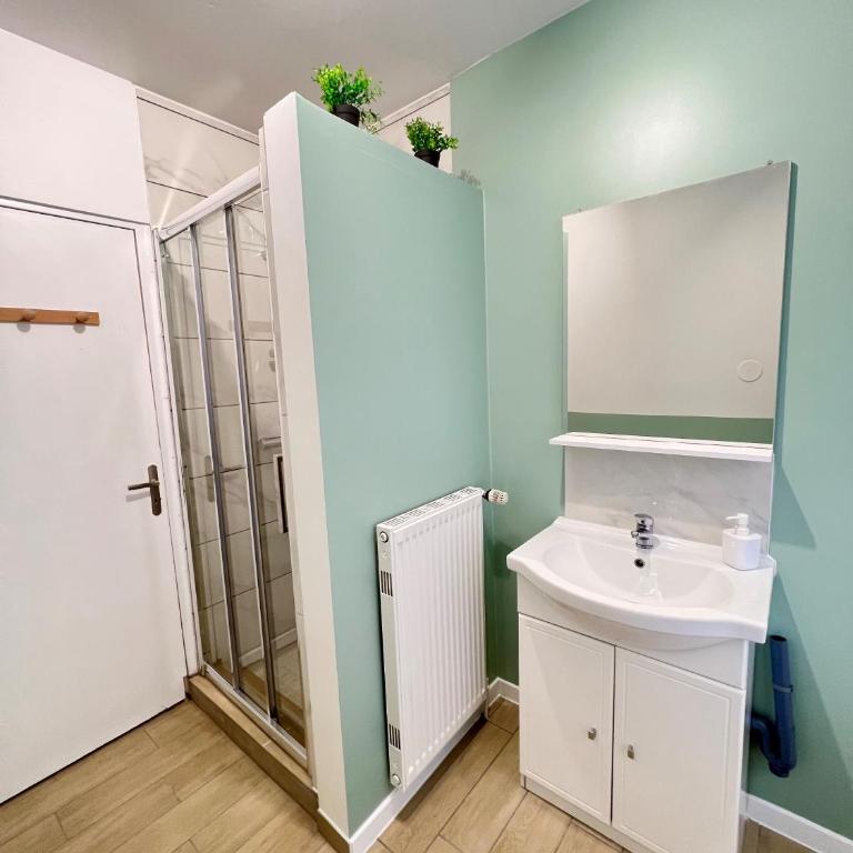 Cosy 0 , Mulhouse centre - Appartement 1 Chambre - 11