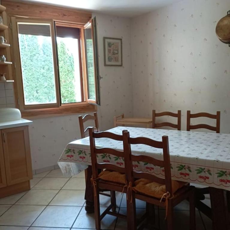 Grand appartement rez-de-chaussée avec jardin Briançon - Appartement - Rez-de-Chaussée - 5
