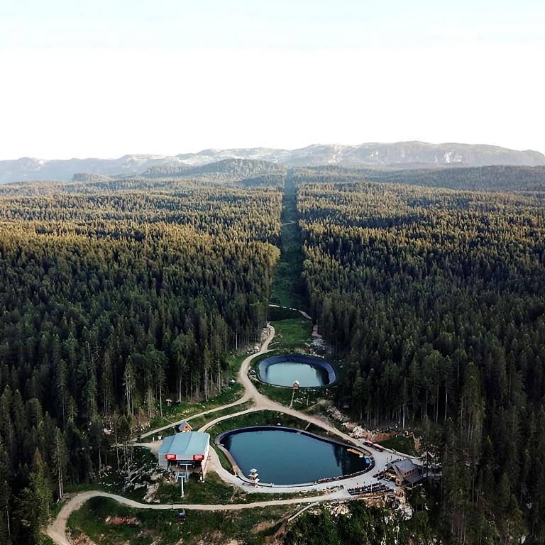 Apartman Ravna Planina - One-Bedroom Apartment - 30